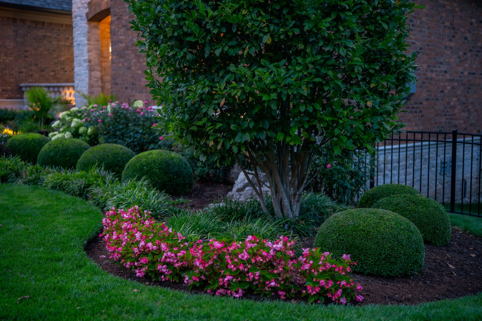 Begonia Bed &middot; Seasonal Color