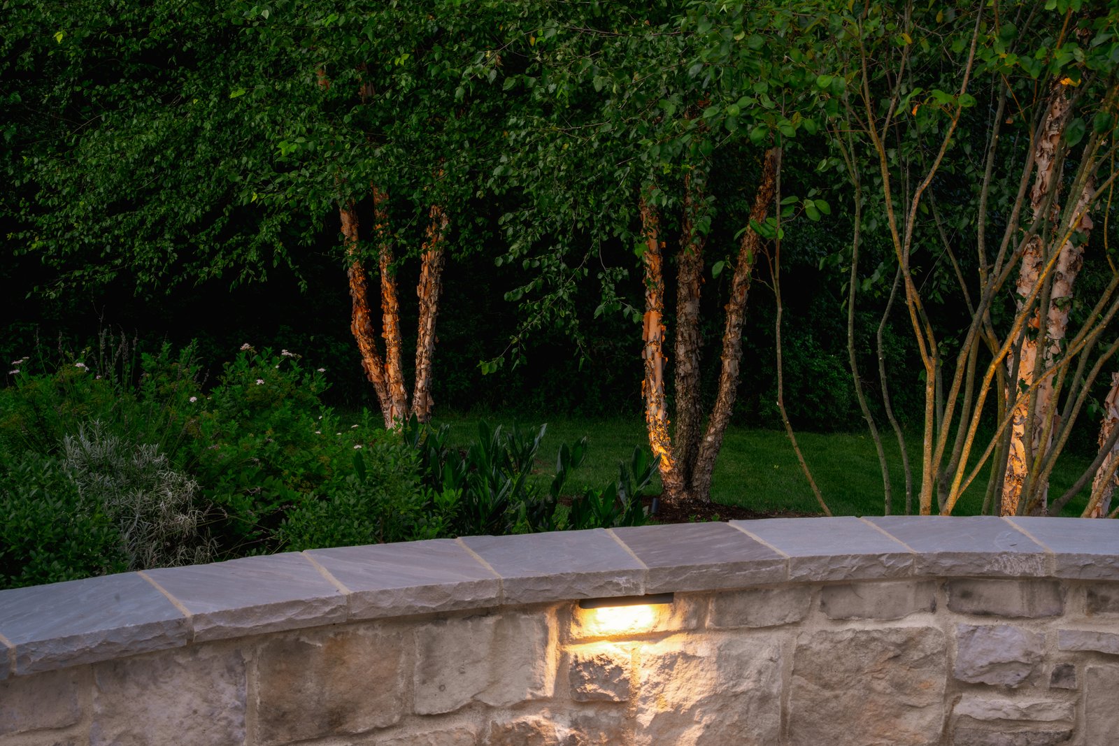Birch Light &middot; Landscape Lighting