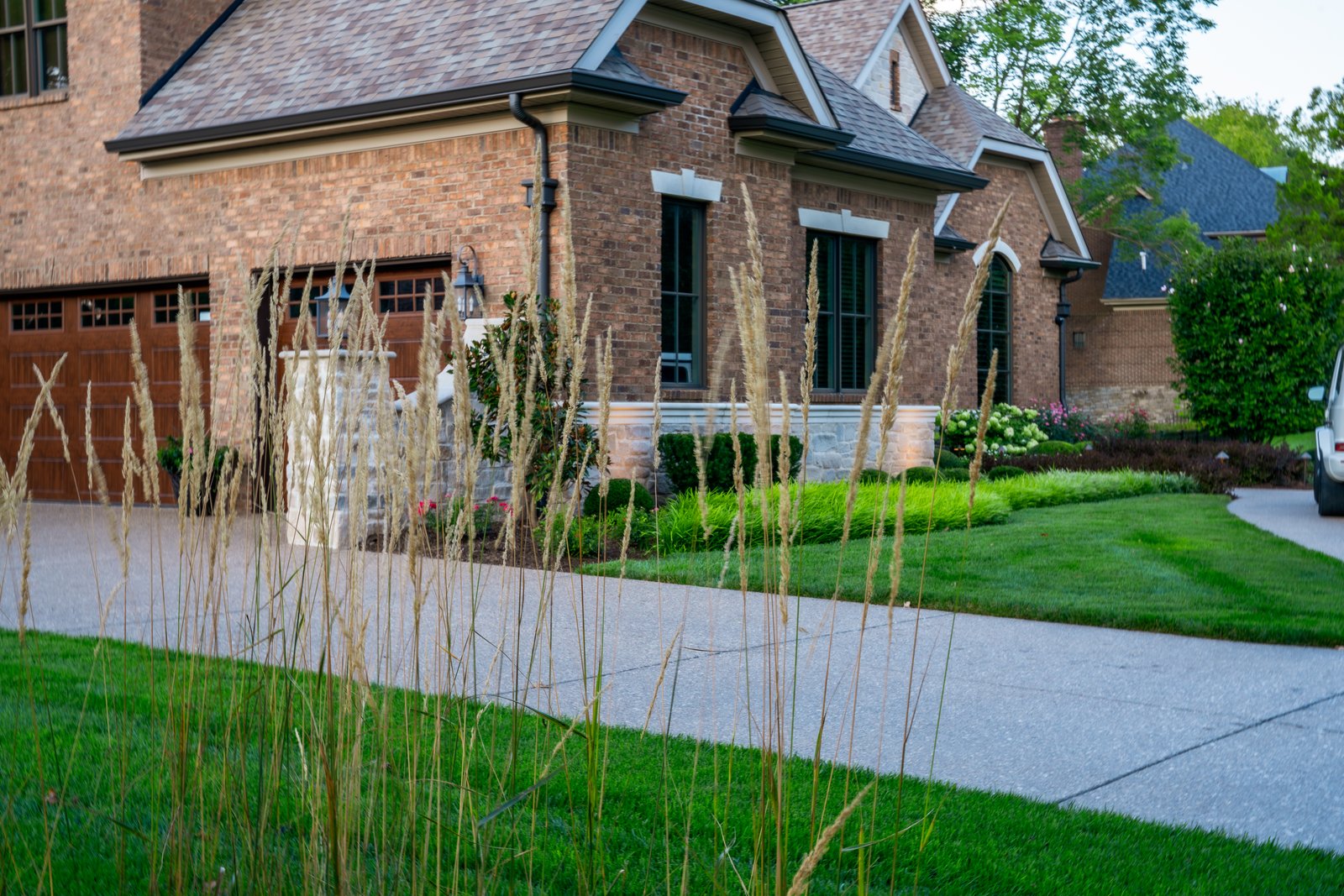 Feather Reed &middot; Ornamental Grasses