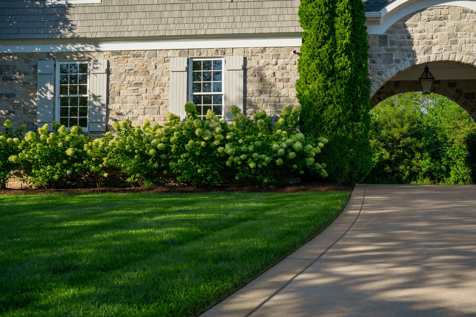 Hydrangea Run &mdash; hydrangea border along a stone elevation.