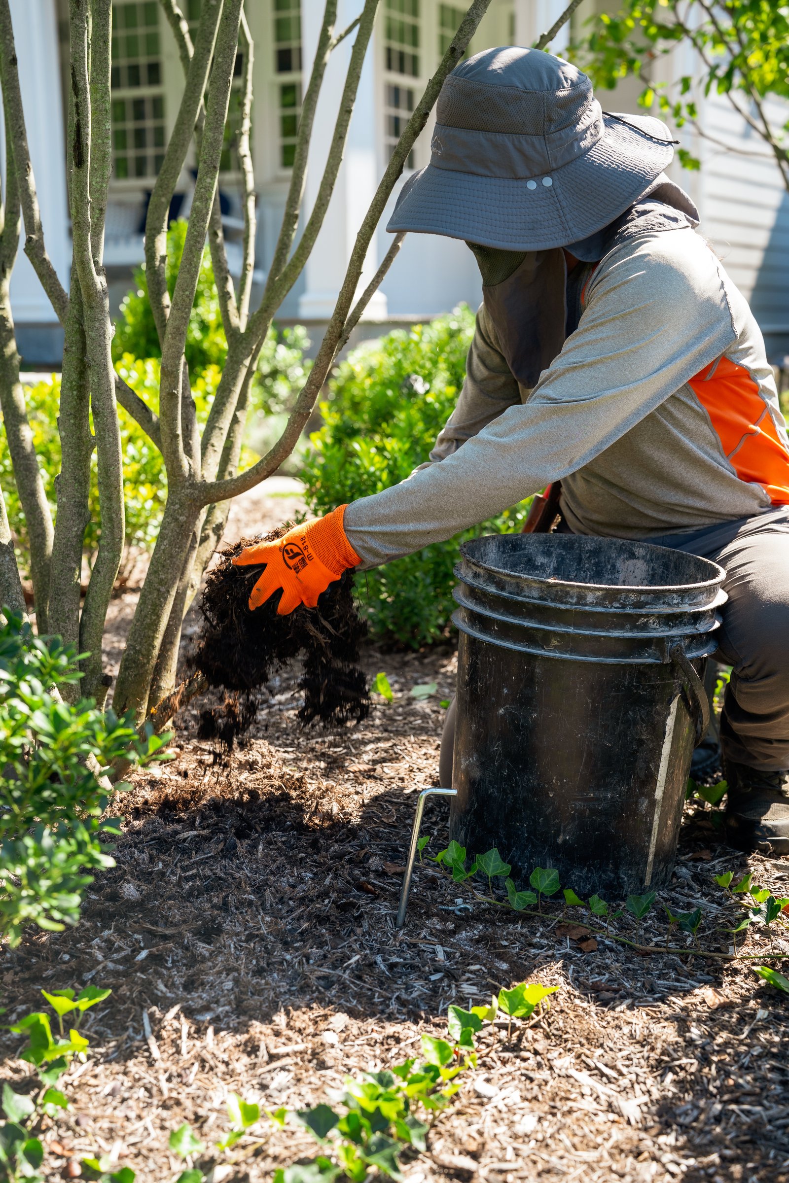 Gloved hands spreading mulch by hand from a bucket