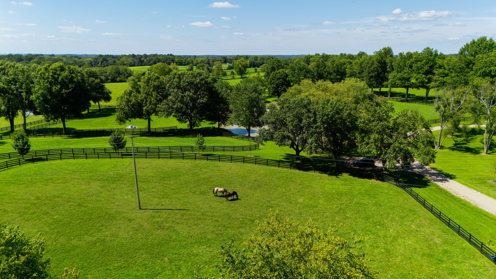 The Back Pasture &middot; Pasture & Fencing