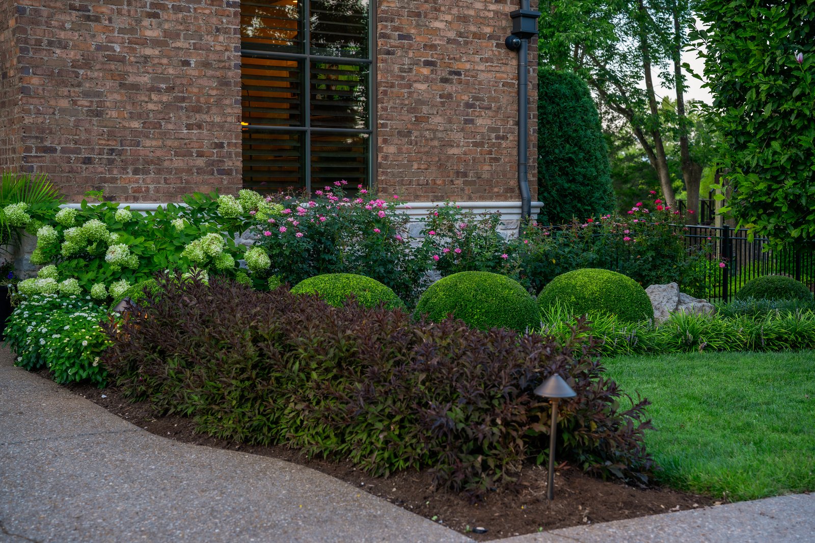 The Border Walk &middot; Shrub Border