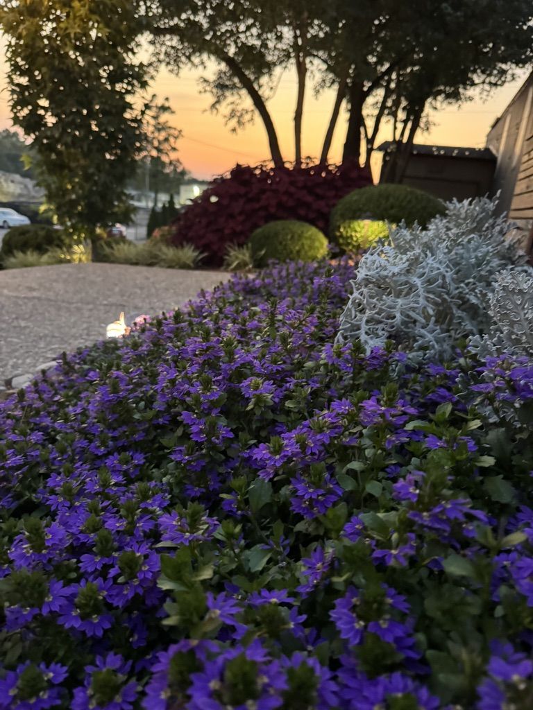 Premium estate landscaping in Louisville by Zeppa's