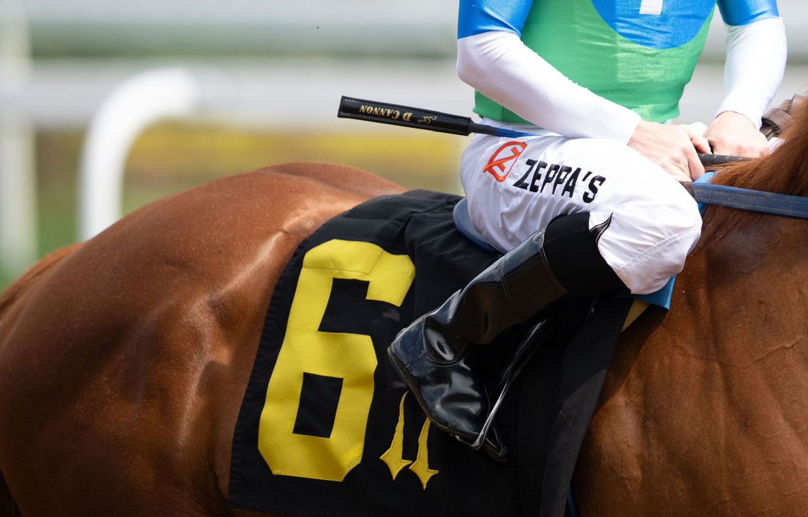 Zeppa's caring for a Kentucky horse farm property